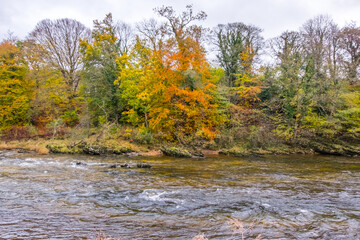 River Lune, Kirkby Lonsdale, Cumbria. Autumn 2021