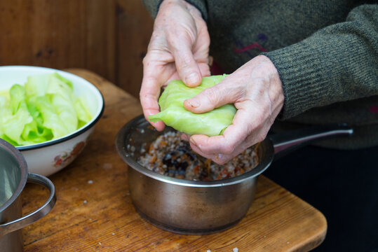 Sarmale Bilder Durchsuchen 12,136 Archivfotos, und