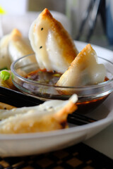 Fried Asian Potstickers Appetizer