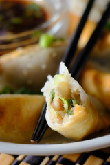 Fried Asian Potstickers Appetizer