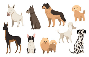 Dogs breed collection. Cute funny cartoon domestic pets characters flat vector illustration. Human friends home animals