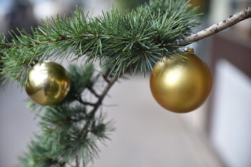 Boules de Noël dorées