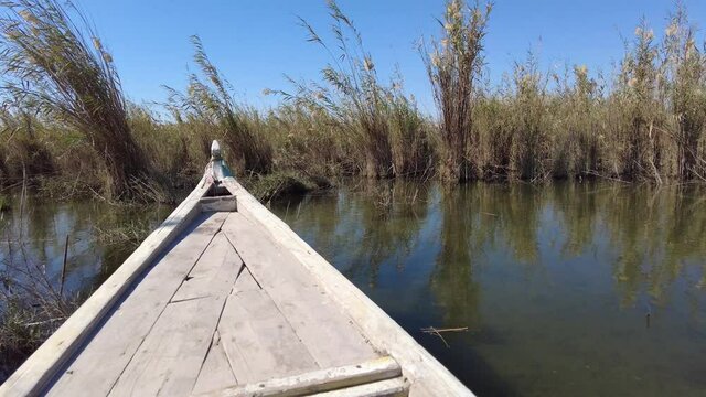 Boat trip in the Mesopotamian / Iraqi Marshes with the so called Marsh Arabs (Ma'dan)