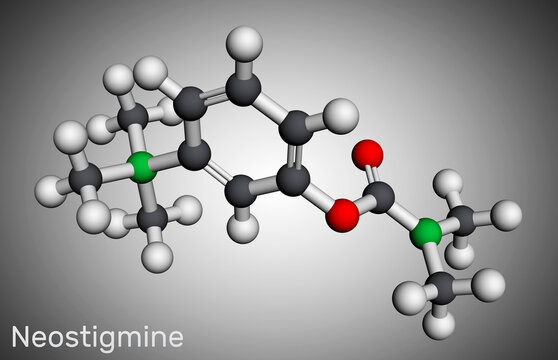 Neostigmine, molecule. It ischolinesterase inhibitor for the symptomatic treatment of myasthenia gravis by improving muscle tone. Molecular model. 3D rendering