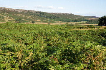 Moorland valley landscape beneath Stanage Edge, Peak District, UK
