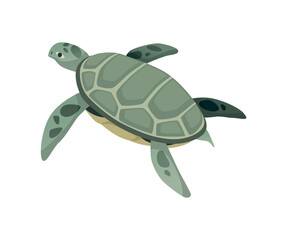 Turtle character. Green sea or ocean tortoise swimming. Wildlife animal in shell. Flat vector illustration isolated on white background