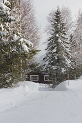 Beautiful winter morning in norwegian mountains,pine tree and cottage covered with snow near Hemsedal,Norway,wild scandinavian destination,vertical wallpaper,calendar,poster,postcard,north beauty.