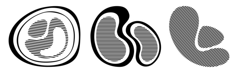 Set of 3 abstract liquid striped shapes. Dynamical forms with lines, isolated on white background. Graphic elements. Template for poster, logo, cover design. Monochrome illustration.