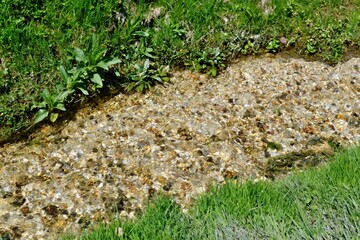 a stream in the grass