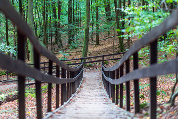 A stairway in Söderåsen National Park, Sweden