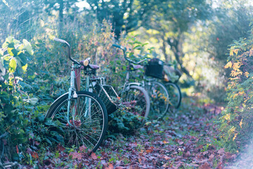 Fototapeta na wymiar Abandoned bicycles in the countryside