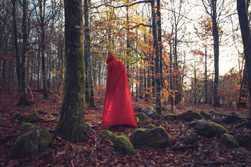 Wizard or Witch och Sorcerer or Sorceress or other fantasy character in the Swedish autumn woodlands - obrazy, fototapety, plakaty