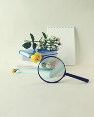 A stack of books with bookmarks of flowers, roses, a magnifying glass, pink and pastel colors, on a...