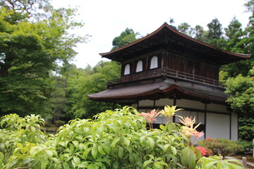 Kioto, Japon. Recorrriendo sus calles y templos.