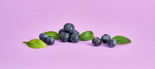 Fresh juicy blueberries with green leaves on a purple background.