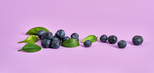 Blueberry fruits with green leaves on a purple background.