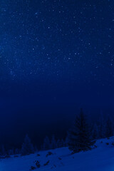 Winter landscape with forest and stars