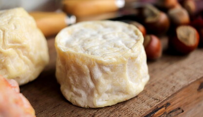 Cheese collection, soft goat French cheese close up selective focus