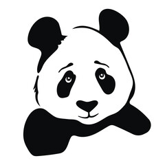 Panda icon on white background