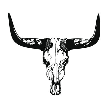 recommend clip art: Buffalo skull - hand drawn vector illustration isolated on white background