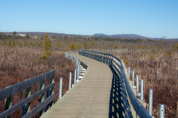 Obraz premium View over part of the Cherry river swamp and its boardwalk in Magog, Quebec, Canada