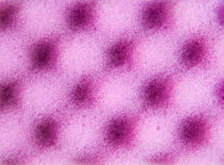 texture of purple washing sponge close up for background and text