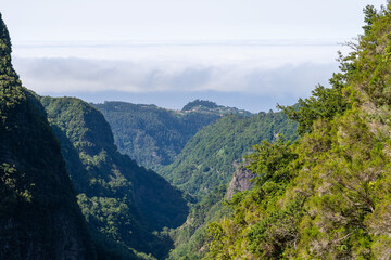Naklejka premium Mountain landscape