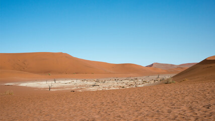 Beautiful salt pan in Deadvlei, with no people Namib desert, Namibia
