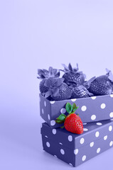 Top view of strawberries in a box. Very peri trendy color