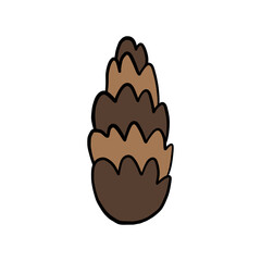 Hand drawn pine cone doodle vector illustration