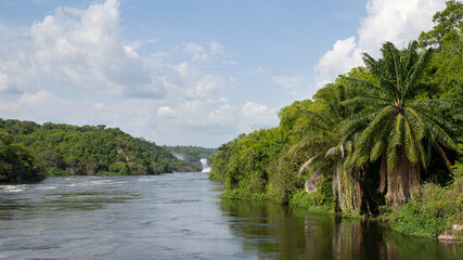 Fototapeta na wymiar Murchison Falls National Park, Uganda