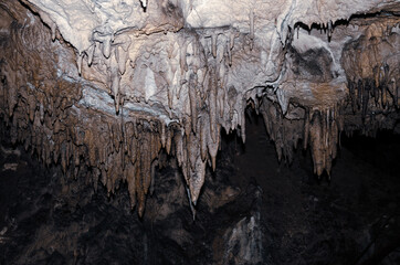 staloctites on the ceiling of a deep stone cold cave.