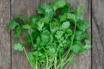 fresh green herbs on wooden background and wet cilantro leaves