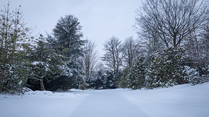 Snowy path on the cemetary
