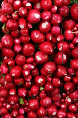 Radishes in a Market Stand