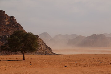 Amazing Windy Day in Mars-Like Wadi Rum (Jordan)