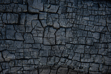 a burned wooden grunge texture - wooden coal