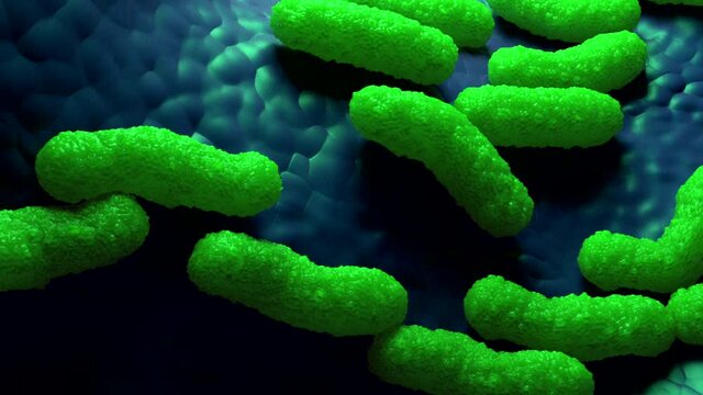 green rod-shaped bacteria on a blue background. The bacteria could be E. coli, a type of bacteria commonly found in the intestines of humans and animals.  E. coli can cause food poisoning