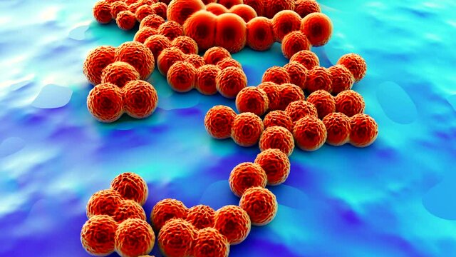 MRSA Bacteria or Super Bug Bacteria