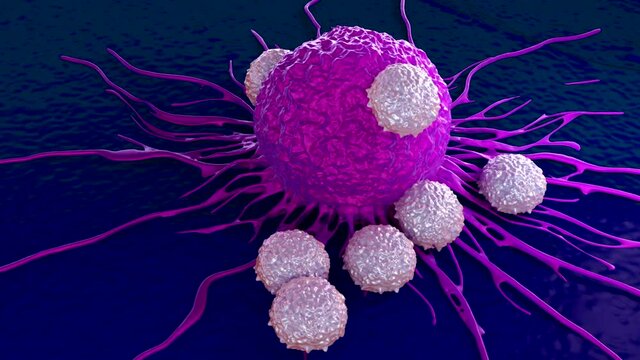 T-cells attacking cancer cell illustration 3d rendering video