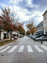 Autumn street with zebra crossing