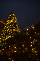 golden christmas tree