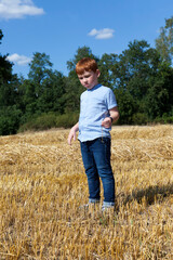 Naklejka na ściany i meble portrait of a seven-year-old boy in a field