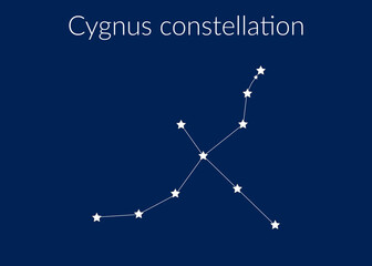 Cygnus zodiac constellation sign with stars on blue background of cosmic sky
