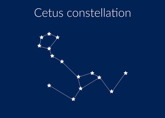Cetus zodiac constellation sign with stars on blue background of cosmic sky