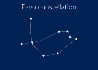 Pavo zodiac constellation sign with stars on blue background of cosmic sky