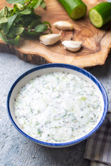Traditional delicious appetizer; tzatziki (Turkish name; cacik)