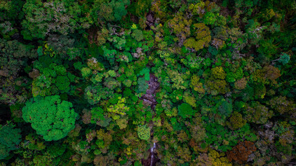 Fotografia aérea feia na serra do mar PARANÁ