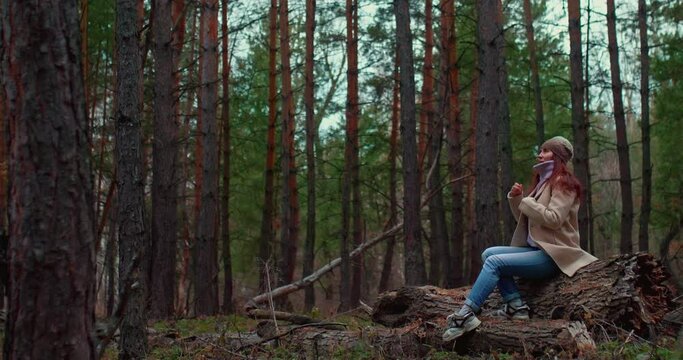 Beautiful girl admires nature in a coniferous forest. Girl is sitting on a log and touching the collar of a sweater with her hands, a cool autumn day. Tall pines and firs, a dense beautiful forest. 4k