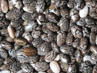 Close-up photo of Chia seeds. Small crunchy seeds.